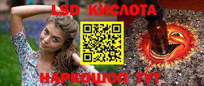 СК Краснодар
