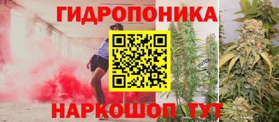 СК Краснодар