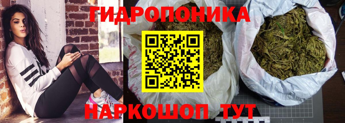 Киселёвск  Конопля AK-47  Вход с VPN  Бошки марихуана план  Каннабис Amnesia 
